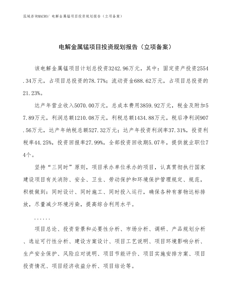 电解金属锰项目投资规划报告(立项备案).docx