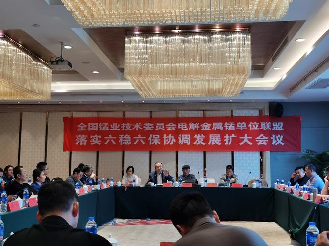 落实六稳六保 协调发展 推动电解金属锰行业高质量发展